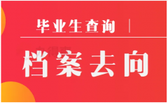 毕业生档案去向查询，档案在线查询入口