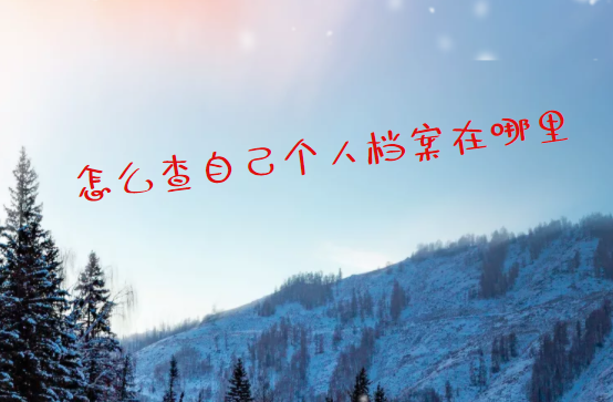 怎么查自己个人档案在哪里，个人档案在哪里怎么查?