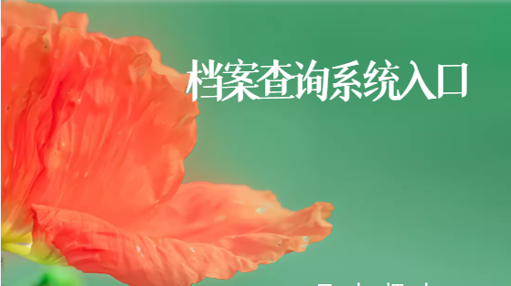 档案查询系统入口，毕业多年档案找不到怎么办