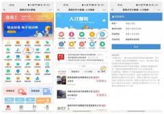 陇南市流动人员人事档案查询图解，陇南人事档案查询电话