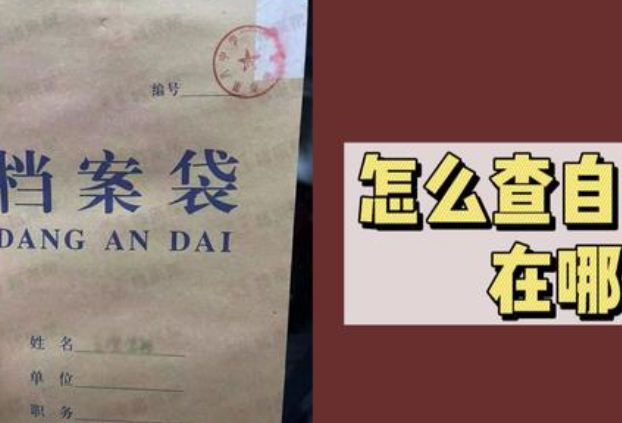 三分钟学会查询自己档案，全国个人档案查询官网
