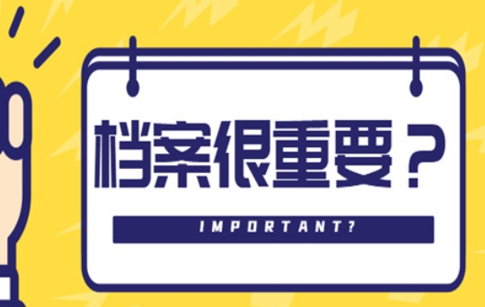 个人档案查询网站