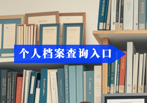阜阳市城南档案查询系统官网入口,阜阳市人事档案查询详解