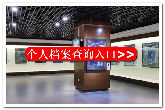 乌兰察布市人事人才网，乌兰察布市个人档案查询